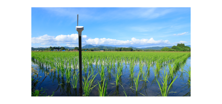 Braveridgeが水田の水位を検知する農業IoTサービス向けセンサー『CROPz 水田用 水位センサー ELTRES』を2022年7月末に販売開始